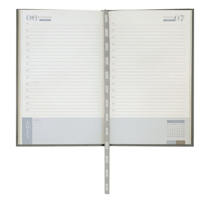AGD 025_AGENDA_DIARIA_2025_8